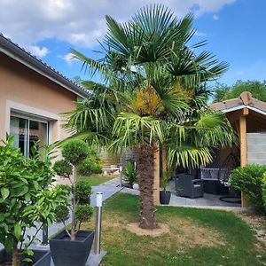 La Datcha D'Elena Appartement La Chapelle-de-Guinchay Exterior photo