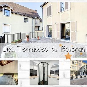Les Terrasses Du Bouchon Appartement Troyes Exterior photo