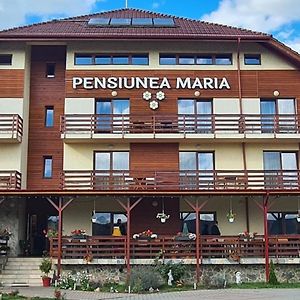 Pensiunea Maria Hotel Gilău Exterior photo