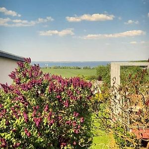 Ferienhaus In Der Hansestadt Mit Blick Auf Ostsee Villa Wißmar Exterior photo