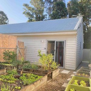 Garden Cubby - The Lakeside Haven Appartement Lake Illawarra Exterior photo