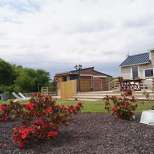 Spa & Bain Nordique - Tiny House A La Campagne Pension La Boissiere-du-Dore Exterior photo