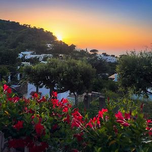 Villa Domenicanda Capri Exterior photo