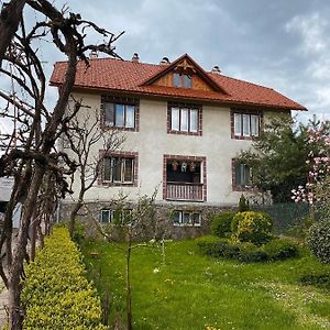 Вілла Де Кампо Hotel Chynadiyovo Exterior photo