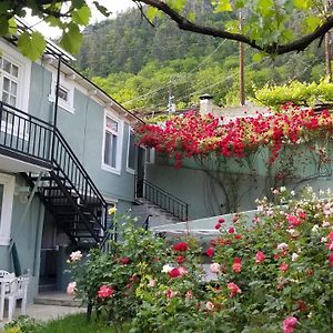 Guest House Green Rose Bordzjomi Exterior photo