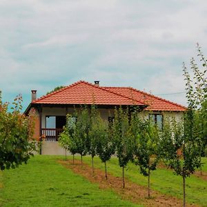 Villa Sladjana Mladenovac Exterior photo