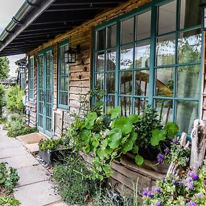 Cozy Garden Studio Appartement Williton Exterior photo