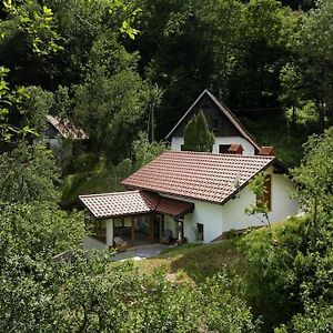 Country House At Peskar'S Villa Podbrdo Exterior photo
