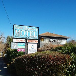 White Lanterns Motel Armidale Exterior photo