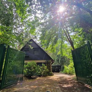 Ferienhaus Thymian In Hatten Bei Oldenburg - Idyllische Waldlage Villa Exterior photo