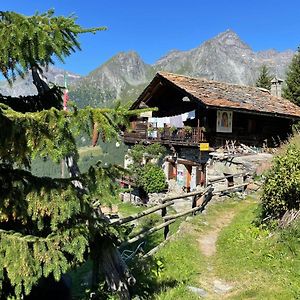 Rifugio Guide Frachey Hotel Saint Jacques Exterior photo