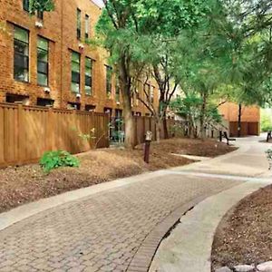 Beautiful Cozy Apartment ! Oak Park Exterior photo