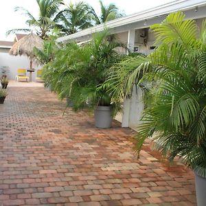 Dancing Iguanas Aparthotel Eagle Beach Exterior photo