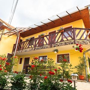 Lazar Panzio Es Vendeghaz Bed and Breakfast Forteni Exterior photo