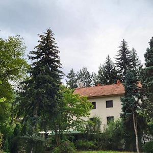 Dah Borova - Banja Topilo Exterior photo