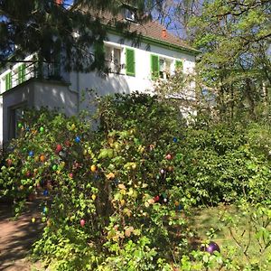 Villa Boehme Fürth Exterior photo