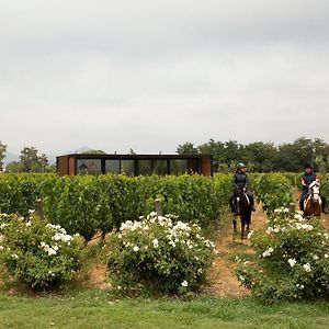 Vibo Wine Lodge At Viu Manent Santa Cruz Exterior photo