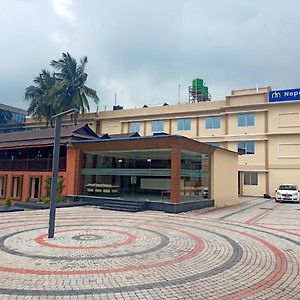 Nepalirika Hotel Damak Panigata Exterior photo