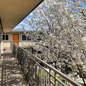 Top Floor-Work Here-Walk Downtown-King Bed Appartement Walnut Creek Exterior photo