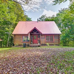 Cozy Gore Mountain Cabin With Game Room And Fire Pit North Creek Exterior photo