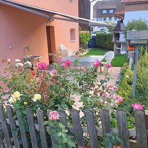 Bnb Les Oiseaux, Chez Lidia, 26M2 A 44M2, 2Eme Etage Bed and Breakfast Vendlincourt Exterior photo