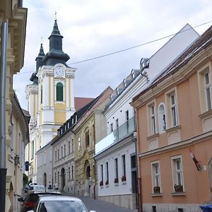 Central Vendeghaz Szekesfehervar Hotel Exterior photo