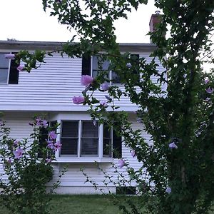 Room In Single Family House - Suburban Neighborhood In Boston Exterior photo