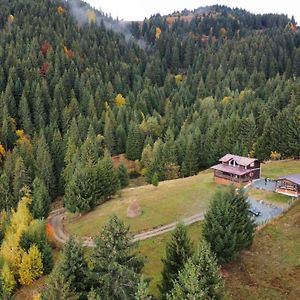 Cabana Din Munti Villa Borşa Exterior photo