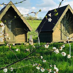 Pensiune Rozalia - Camping Bed and Breakfast Crit Exterior photo