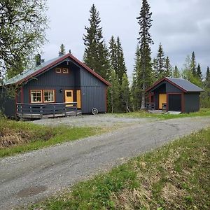 Cozy Mountain House In Jamtland Villa Vallrun Exterior photo