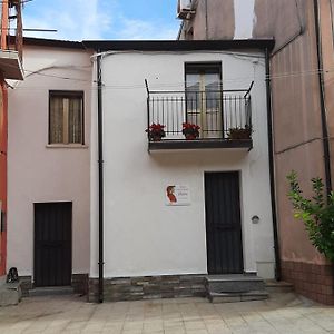 Casa Vacanze Dante Bed and Breakfast San Pietro a Maida Exterior photo