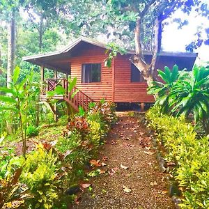 Casitas Ginger Villa Quepos Exterior photo