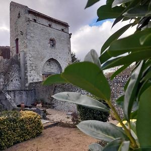 La Maison Du Prince De Conde Hotel Charroux-dʼAllier Exterior photo