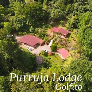 La Purruja Lodge Golfito Exterior photo