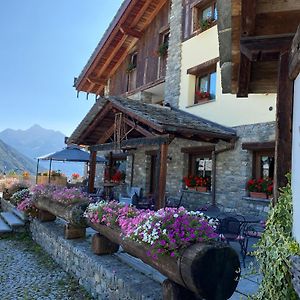 Le Relais De La Grandze Hotel Doues Exterior photo