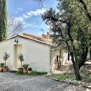 Joli Studio Les Hibiscus Du Pic Saint Loup Appartement Exterior photo