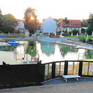 Ferienhaus Strauss Nahe Der Kyffhaeuser Therme Villa Bad Frankenhausen Exterior photo