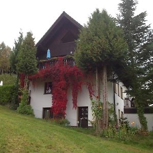 Waldblick Appartement Tannenberg Exterior photo