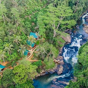 The Rainforest Hideaway Hotel Deniyaya Exterior photo