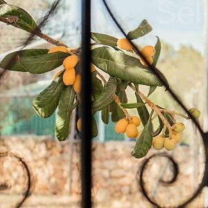 Charming Ibiza Villa Sant Llorenc de Balafia Exterior photo