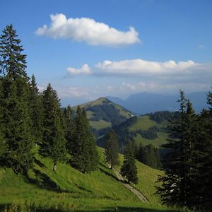 Rigiana Auf Der Koenigin Der Berge Appartement Rigi Kaltbad Exterior photo