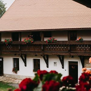 Statek Postolka Hotel Svitavy Exterior photo