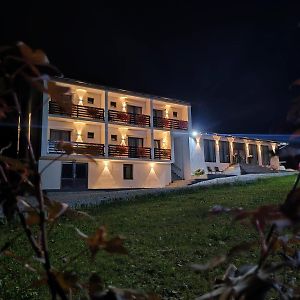 Flori De Tei Maramures Hotel Săcel Exterior photo