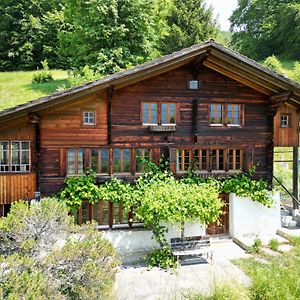 Meieli'S Chalet Appartement Hofstetten bei Brienz Exterior photo