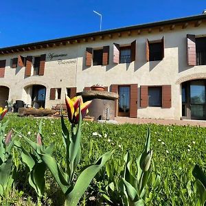 Agriturismo Colombera Pension Quarto dʼAltino Exterior photo