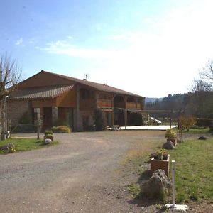 Gite Chaleureux Avec Terrasse, Peche, Randonnees Et Equipements Modernes Au Coeur Du Haut Forez - Fr-1-496-285 Villa Les Salles Exterior photo