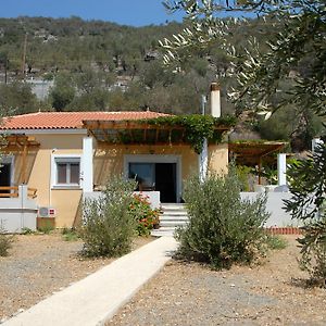 Melinda Holiday House Villa Plomari Exterior photo