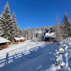 Садиба Урочище Луг Villa Vorochta Exterior photo