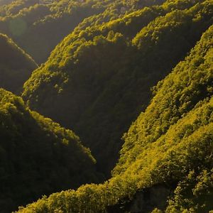 Wild Valley Ticino Vista In Valle Onsernone Appartement Auressio Exterior photo