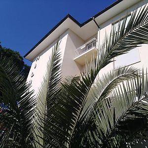 Milano Hotel Marina di Pietrasanta Exterior photo